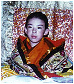 �Z�I�Q�@�@